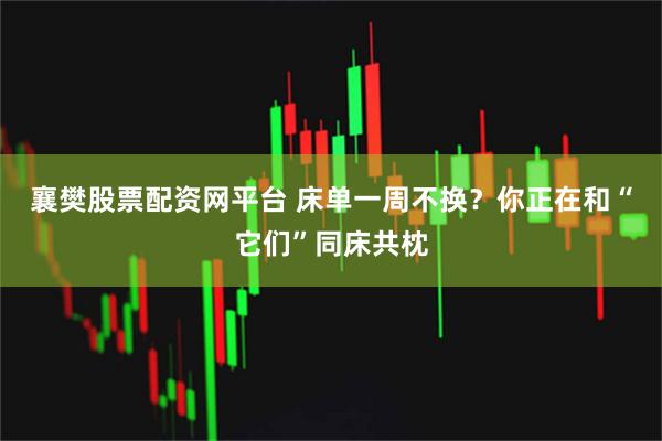 襄樊股票配资网平台 床单一周不换？你正在和“它们”同床共枕