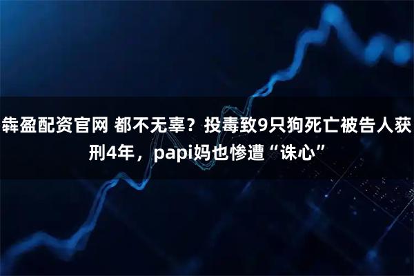 犇盈配资官网 都不无辜？投毒致9只狗死亡被告人获刑4年，papi妈也惨遭“诛心”