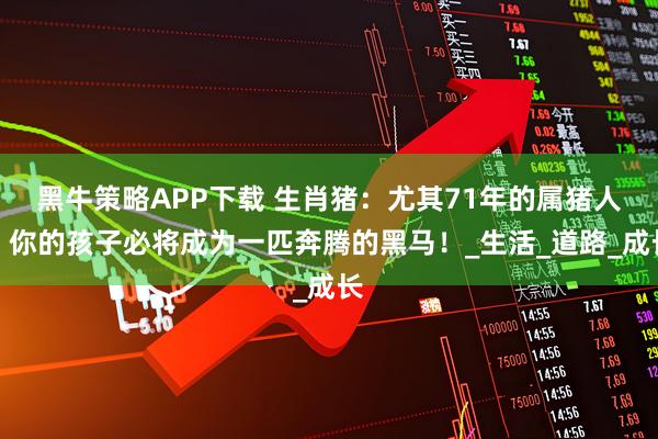 黑牛策略APP下载 生肖猪：尤其71年的属猪人，你的孩子必将成为一匹奔腾的黑马！_生活_道路_成长