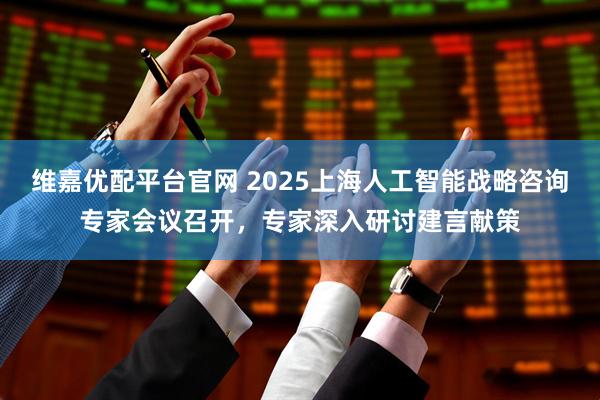 维嘉优配平台官网 2025上海人工智能战略咨询专家会议召开，专家深入研讨建言献策